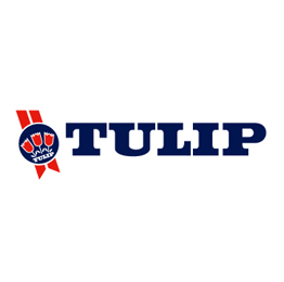 Tulip